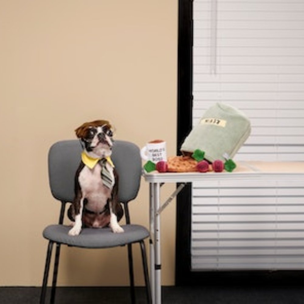 Bark Box The Office "Schrute Farms" Beets Squeaky Tennis Balls Dog Toy NWT